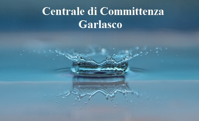 Procedura aperta per l’affidamento in concessione del canone unico patrimoniale per il Comune di Vigevano.